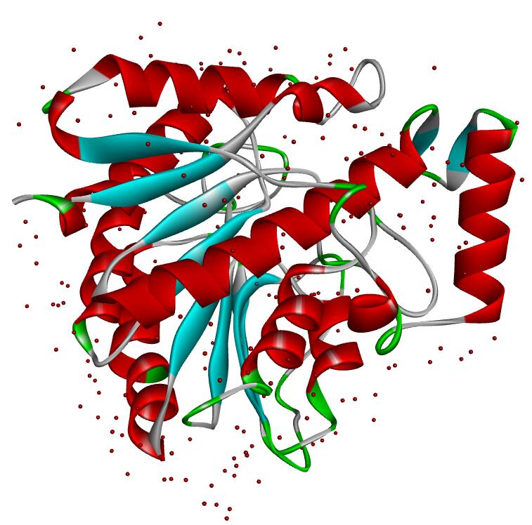"the cytochrome p450 catalyzing c-s bond formation in s-he