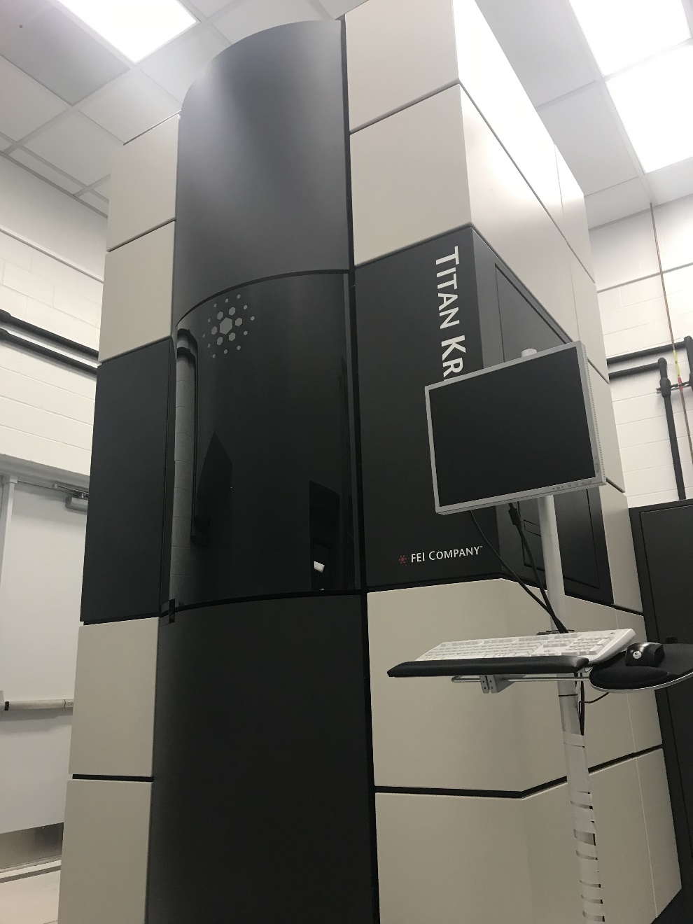 蛋白质结构生物学服务冷冻电镜